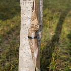 Archery Longbow Takedown Wooden 20-50lbs 60    62  64  Traditional Bow Rh Lh Hunt