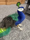 Hansa Peacock Plush Handcrafted Realistic Detailed Stuffed Bird Animal Toy
