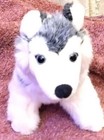Plush Husky Dog Stuffed Animal Energy Vtg Sitting Wolf  Gray White