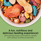 Kaytee Fiesta Mouse   Rat Food  Nutritious And Fun Blend  Supports Dental Health