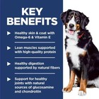 Hill s Science Diet Large Breed Adult Dry Dog Food - Lamb   Brown Rice 33lb