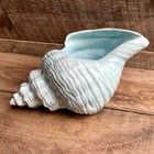 Conch Shell Bowl Planter Blue Ceramic Vtg Beach House 12    Long Tableware