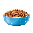 Dog Chow Complete Dry Dog Food With Real Chicken   Rice Flavor - 15lbs