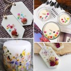 New 600 Piece Small Dried Flowers For Crafts For Jewelry Soaps Gifts Candles  