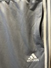 Adidas Tiro 19 Training Pants 