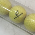 Almost Golf Shag Tube W Ball Release 21 Piece Of Point 3 Practice Golf Balls