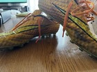 Nike Hypervenom Phantom Prem Hg-e Acc Soccer Cleats 677583-907 Us9 Used