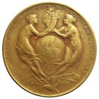 1915 Panama-pacific Expo Official Medal - Hk-400  World Fair Token San Francisco