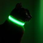 Led Dog Collar Light Up Rechargeable Reflective Safety Neck Band For Night Walks