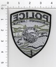 Yerington Nevada      Subdued Collectible Police Embroidered Swat Patch