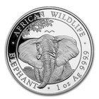 2021 Somalia  somali Republic  Elephant 1 Oz Silver Coin In Capsule