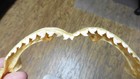 Sj470-177  8-3 8  Tiger Shark Jaw Sharks Jaws Teeth Taxidermy Educational