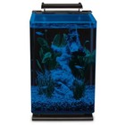 Glass Led Aquarium Kit  5 Gallons  Hidden Filtration