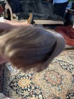 Doll Wig Size 5 Natural Hair  Baby Brown   22