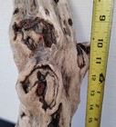 Driftwood Branch Woodworking Decorative Diy