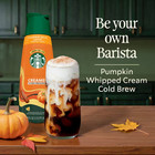 Starbucks Pumpkin Spice Cold Brew Coffee Concentrate Liquid  32 Fl Oz    