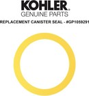 Kohler Genuine Part Gp1059291 Canister Seal - Pack 2 