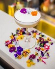 Edible Fresh Garnish Gourmet Sweet Flower Blooms Free Overnight 200