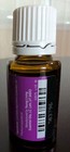 Young Living Essential Oils 15 Ml Lavender Oil Unopened New
