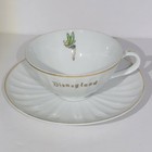 Vtg 1960s Disneyland Tinker Bell Sleeping Beauty Castle Teacup Saucer Set Japan