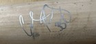 Cal Raleigh Game Used Bat
