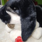 Russ Yomiko Lop Ear Bunny Rabbit Black White Large Life Size Realistic 14   