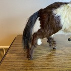 Antique Victorian Toy Horse Real Fur Hair Hide Glass Eyes Brown cream Taxidermy