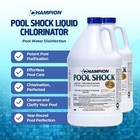 Champion Pool Shock Liquid Chlorinator For Pool Water Disinfection  2 Pack 