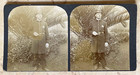 Original  San Francisco California Police Officer Stereoview Photo C1890