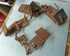 Pair Of Barn  Find Collectable Adjustable Cow Hobbles