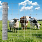 4 5 6ft X 164 328ft Farm Fence 12ga Galvanized Goats Cattle Fence Animals Prote