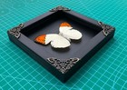 Real Butterfly Framed For Moon Shelf Wall Decor Taxidermy Insect Collections