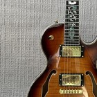 Custom Lp Brown Flame Maple Top Hollow Body Electric Guitar Rosewood Fretboard