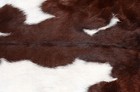 Goat Western Taxidermy Hide Rug Natural Pattern Fur Goat Hide Rode Sa-3911