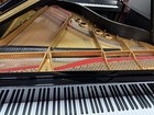 Steinway L Piano     1964