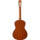 Cordoba C3m Classical Guitar Natural
