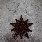 Red Rhinestone Starburst Statement Brooch