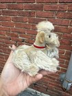 Steiff Poodle Dog Original Snobby Jointed Mohair Red Collar  Pom Vtg W  Tag