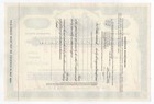 Specimen - Hackensack Water Company Stock Certificate