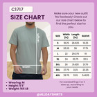 Comfort Colors C1717 Adult Heavyweight Rs T-shirt   S - 4xl  