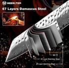 Kiritsuke Chef Knife 8 Inch  Hand-forged New