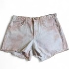 Sundry Denim Shorts Size 25