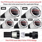 4an 6an 8an 10an Nylon Braided Ptfe Fuel Line 10ft-30ft W  Fitting Hose Kit E85