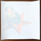 Smashing Pumpkins-mellon Collie Promo Plastic Window Sticker 8 x8  Lot Of 125