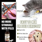 Praziquantel Liquid Dewormer For Cats   Kittens 100 Ml Tapeworm Treatment