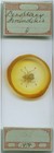 Antique Microscope Slide By Www  - Flying Fox Parasite Type Insect