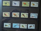 G2511  Br  Honduras   1962  Birds  Sg 202-213  Sc 167 78  Set  Mnh