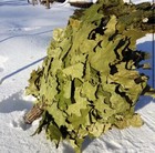 12 Oak Brooms Sauna Banya Venik Whisks Eco 2025 Ukrainian