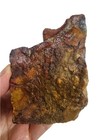 Brecciated Jasper Rough 250 7 Grams  Lapidary Or Display