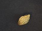 Vtg Kjl Kenneth Jay Lane Avon Goldtone Rhinestone Conch Seashell Scarf Clip